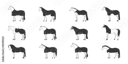 Collection of horse illustrations featuring different rugs in black and white minimalistic style