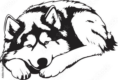 Alaskan Malamute Dog Lying Down Stencil Vector Illustration Graphic