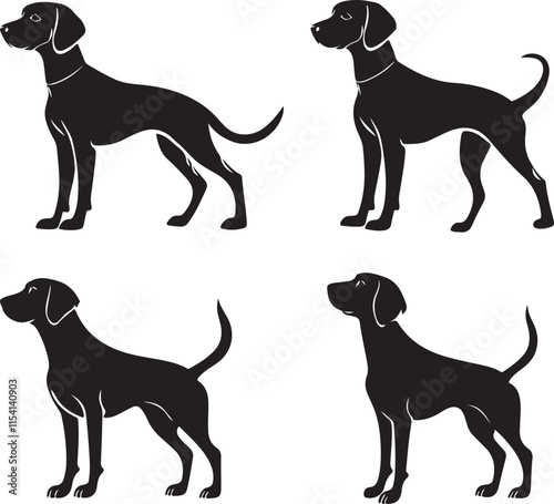 American Foxhound Dog Silhouette Set Vector Illustration Graphic