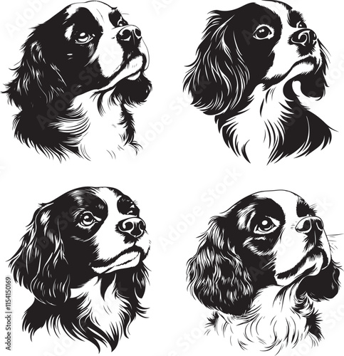 Cavalier King Charles Spaniel Dog Heads Stylized Set Vector Illustration Graphic