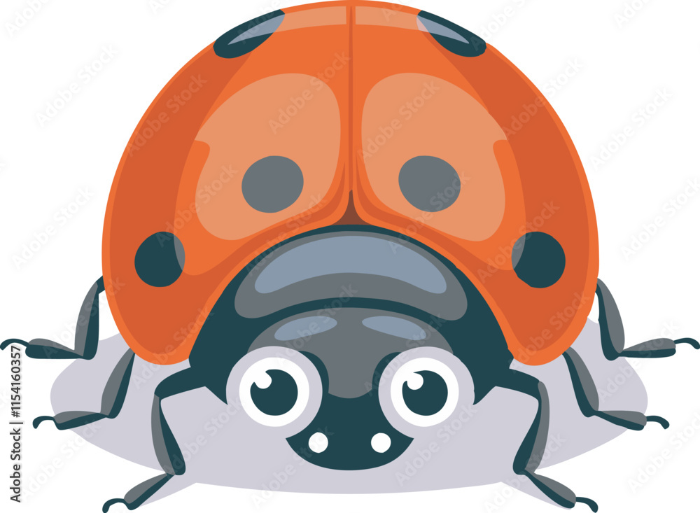 Fototapeta premium ladybug