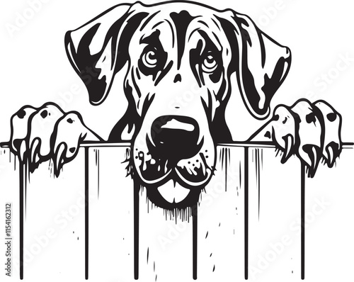 Great Dane Dog Peeking Over Fence Stylized Vector Illustration Graphic