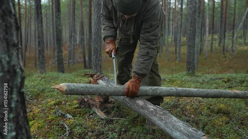 A man saws a dead tree trunk in the forest. Hiker saws a log with a handsaw. Bushcraft and wilderness survival concept. Equipment and tools for working in the forest.