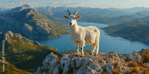 Goat on Mountain Next to Lake photo