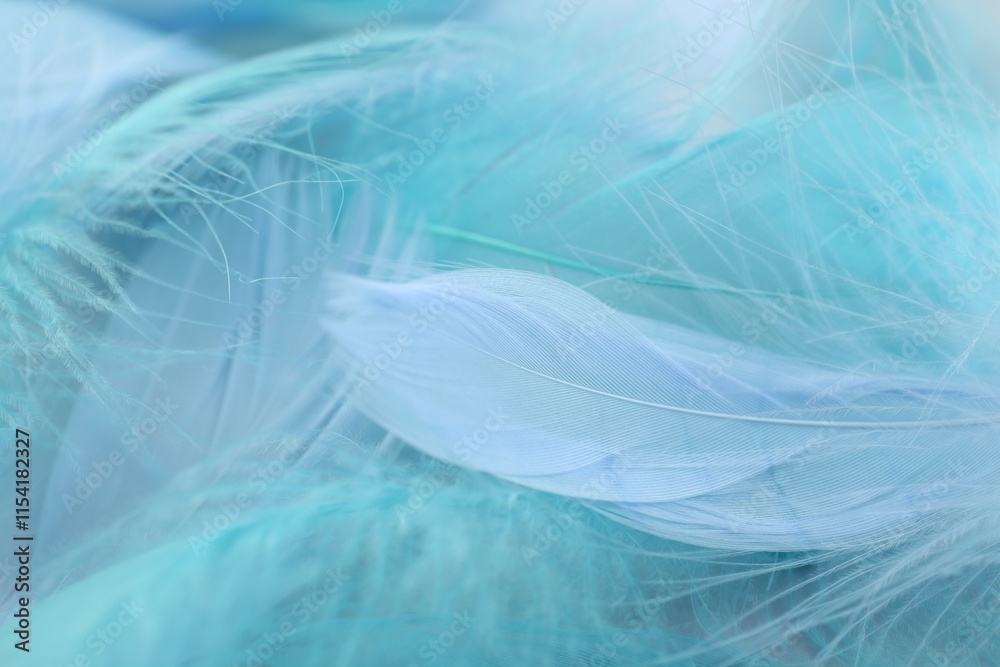 Many beautiful feathers as background, closeup view Many beautiful feathers as background, closeup view