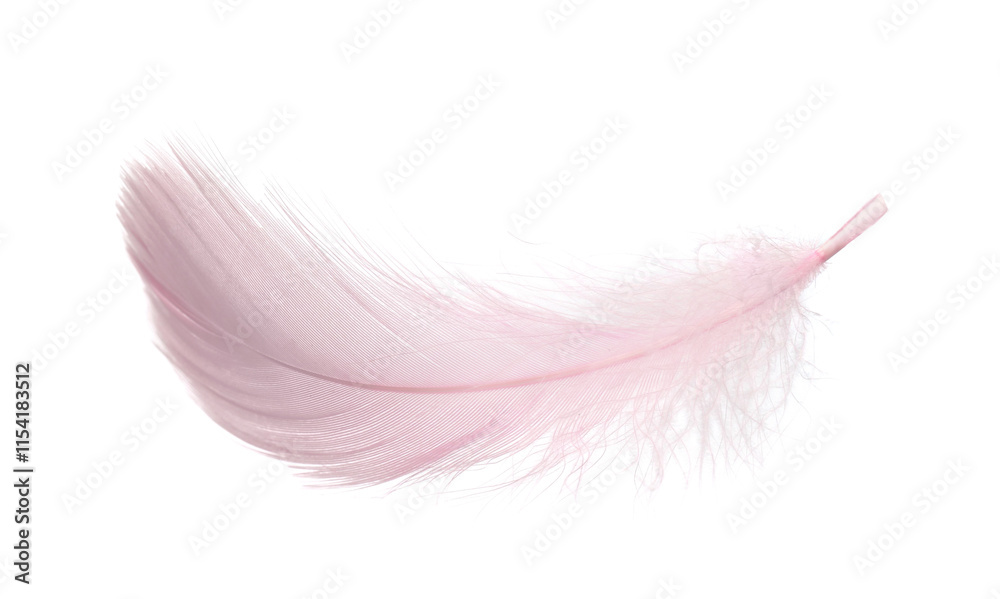 One fluffy pink feather isolated on white One fluffy pink feather isolated on white