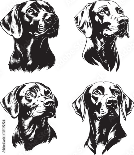 Weimarner Dog Faces Stylized Set Vector Illustration Graphic