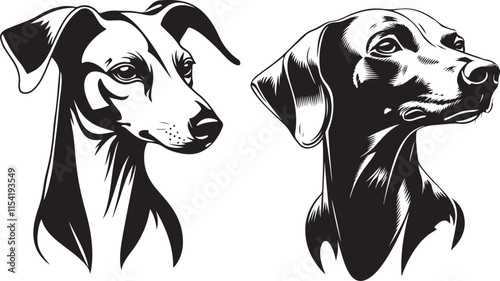 Whippet Dog Heads Stylized Vector Illustration Graphic