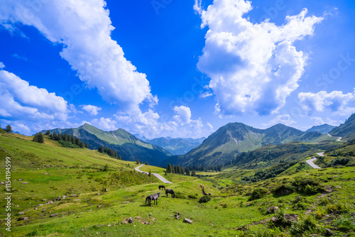 Street to the Furkapass in the Laternsertal, State of Voralberg, Austria photo