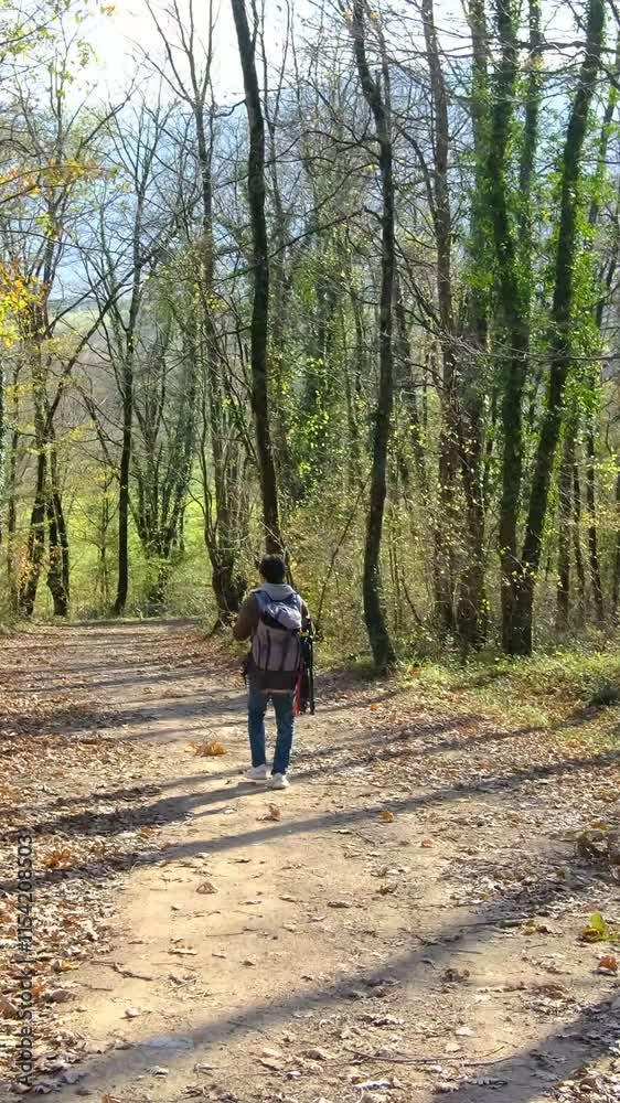 Walking Young in Autumn Forest Walking Young in Autumn Forest