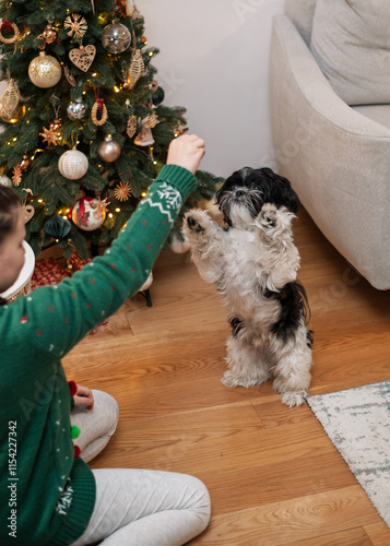 Christmas Joy: Girl Playing with Her Dog by the Christmas Tree