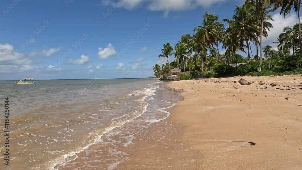 Landscape Praia do Patacho Alagoas	