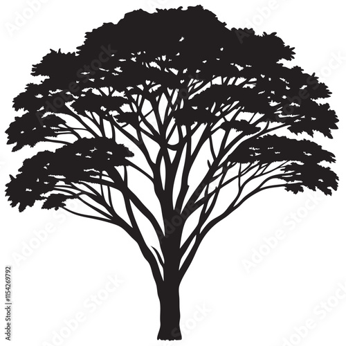 Acacia woodAfrican savannah silhouette 