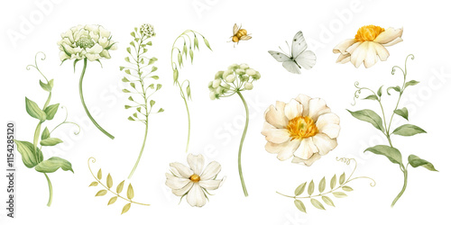 White peonies and garden flowers and herbs - a collection of watercolor illustrations. All elements combine well with each other and look good in compositions and patterns