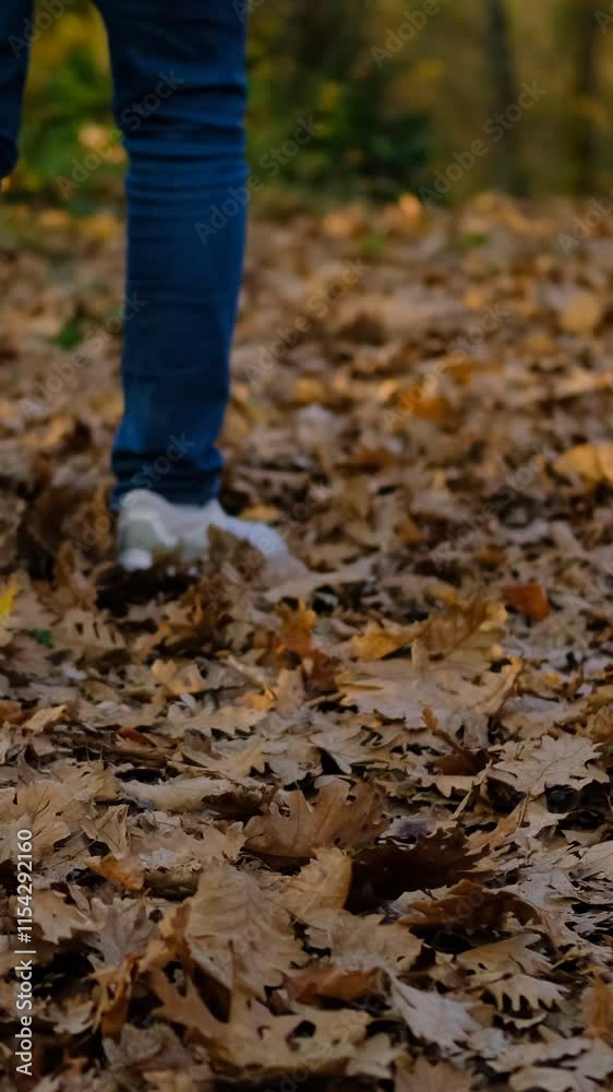 Single man in fall forest Single man in fall forest