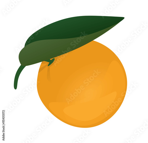 Orange fruit isolated. vector illustration