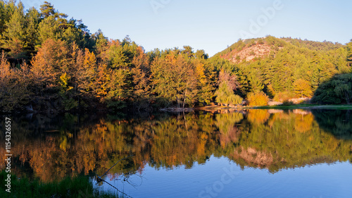 Nature’s Mirror: Autumn Trees on Calm Waters