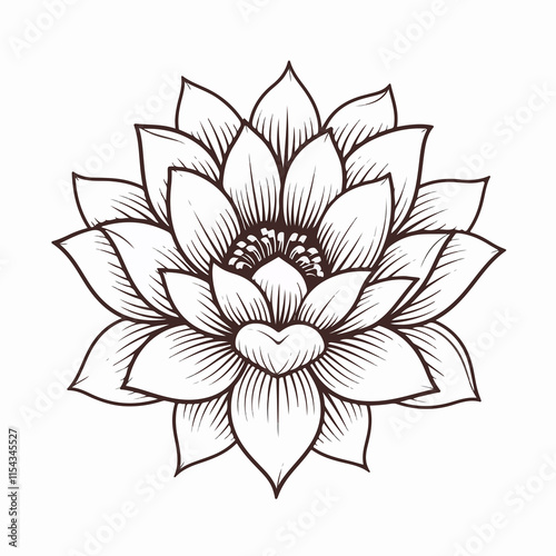 Lotus Flower Symbol Scribble Vector Illustration for Spiritual Designs photo