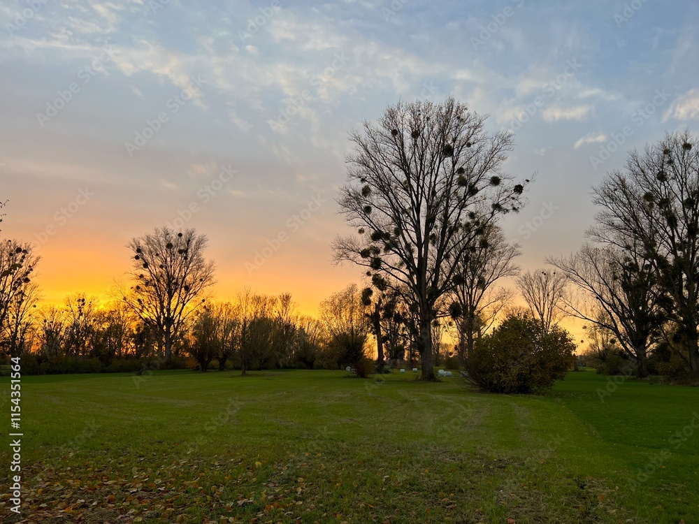 Naklejka premium Sunset Urdenbach