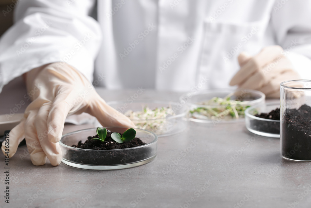 Scientist studying soil and plant seedlings at grunge table, closeup Scientist studying soil and plant seedlings at grunge table, closeup