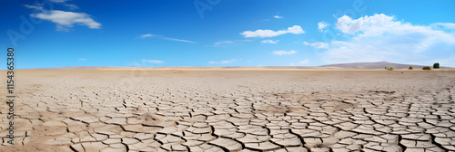 The Echo of Nature's Cry: The Harsh Reality of Drought