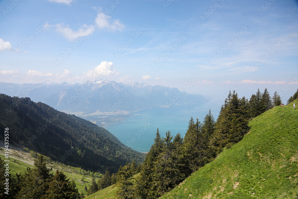 Fototapeta premium swiss mountain landscape near Montreux