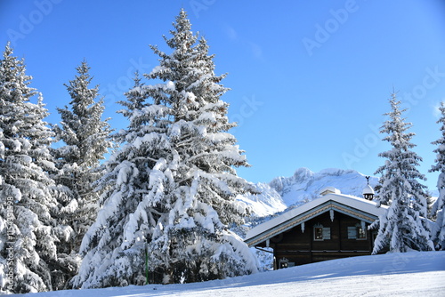 Winter scenery of a ski resort in French alps with wooden chalet under snow on the slopes