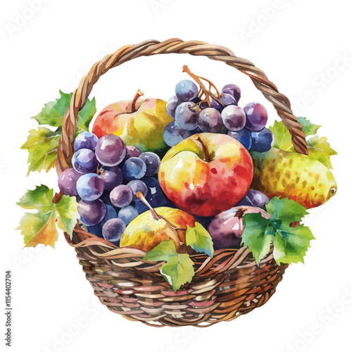 A watercolor of a basket of grapes and autumn fruits, isolated on a white background. Fruit basket vector.
