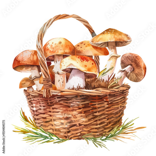 A watercolor vector of mushrooms freshly picked from the forest, isolated on a white background. Forest mushrooms vector.
