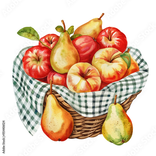 A watercolor vector of a basket of sweet apples and pears with a plaid, isolated on a white background. Fruit basket vector.
