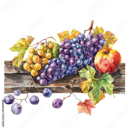 A watercolor vector of a bunch of grapes and autumn fruits on a wooden table, isolated on a white background. Grapes autumn fruits wooden table vector.
