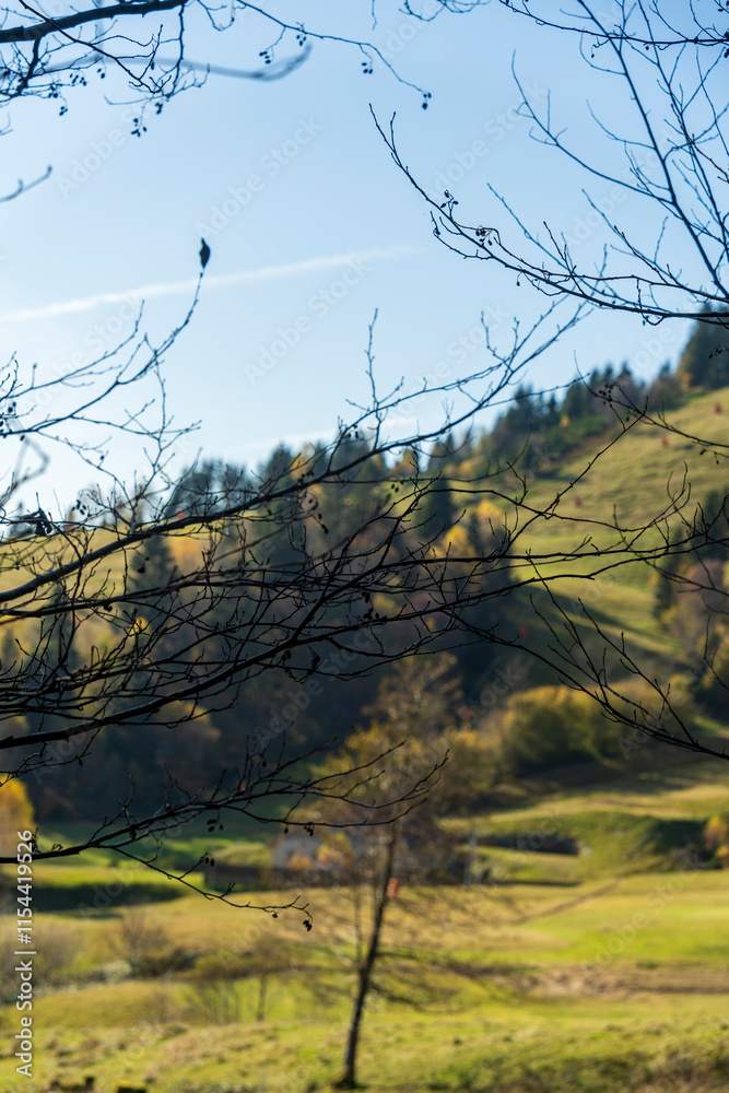Joli paysage de Drumont à Bussang en Automne Joli paysage de Drumont à Bussang en Automne