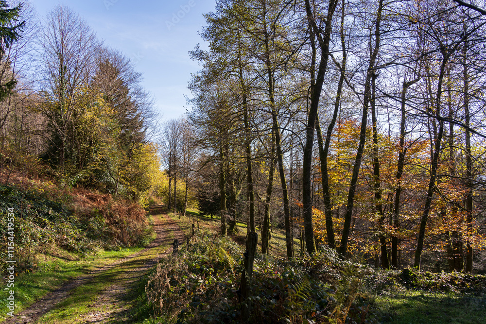 Joli paysage de Drumont à Bussang en Automne Joli paysage de Drumont à Bussang en Automne