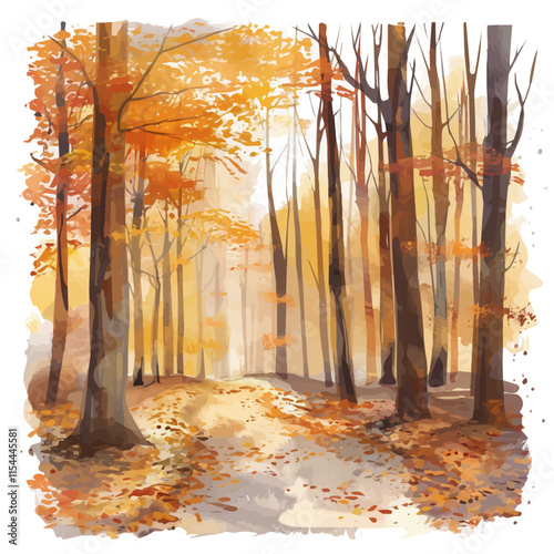 A watercolor drawing of a fall forest trail with soft morning light filtering through the trees, isolated on a white background. Autumn vector.
