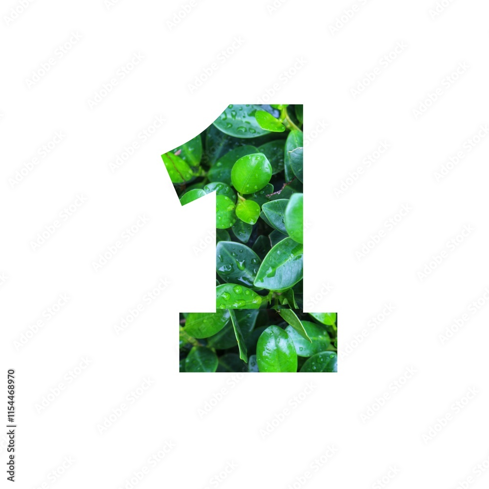 Design number 1 with leaf texture on white background. Design number 1 with leaf texture on white background.
