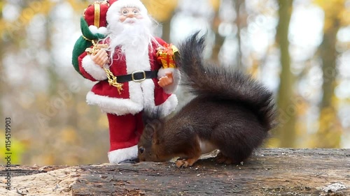 santa claus in the park