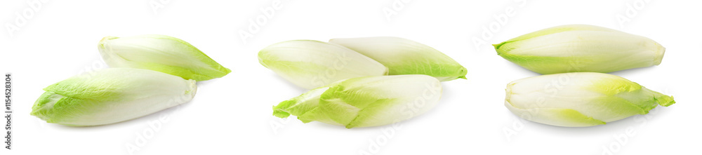 Fresh leaf chicory isolated on white, set Fresh leaf chicory isolated on white, set