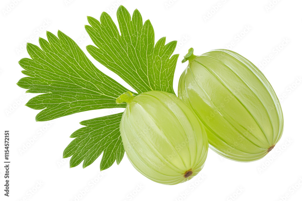 Two green fruits with a leaf on top Two green fruits with a leaf on top