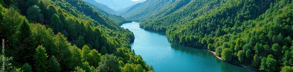Fototapeta premium Smooth curves of a winding river through a forested valley, winding, blue