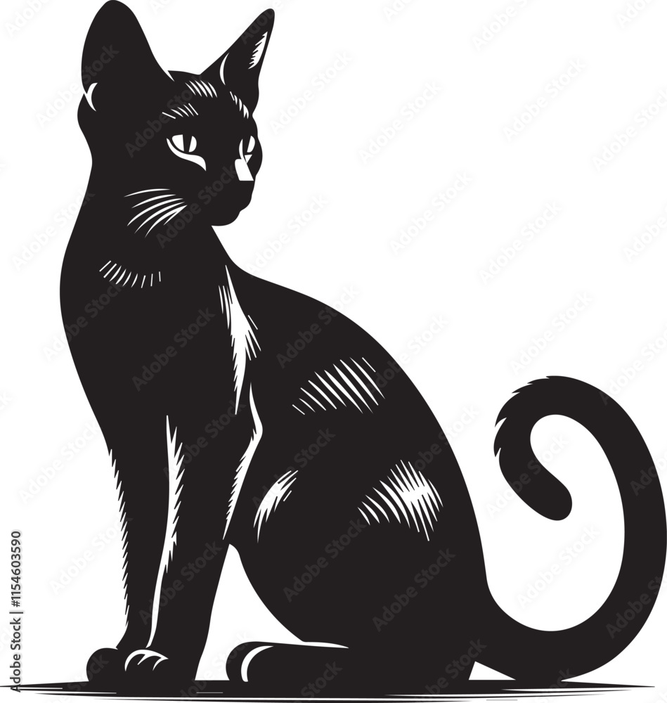Obraz premium Black cat