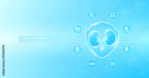 Shield healthy kidney build immunity with vitamin C minerals calcium iron and fiber omega 3 surrounded. Nourish by medical health care supplements. Used for designing food ads. Banner vector.