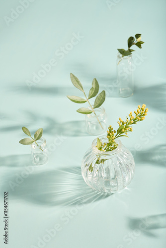 minimalistic natural composition. small vases on a light blue background