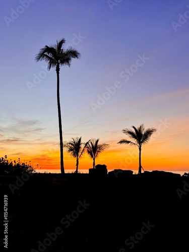 3 palm trees at sunset