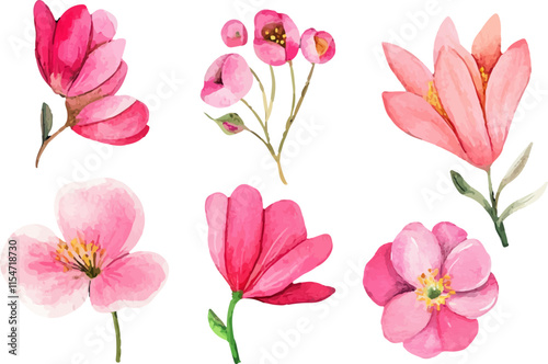 pink and white flowers