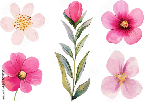 pink and white flowers