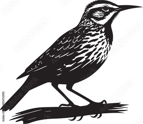 Meadowlark bird silhouette