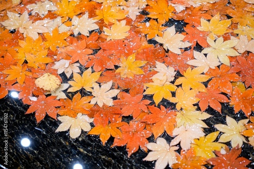 A hyper-realistic close-up of a 4K HD TV screen displaying a forest in autumn, with intricate leaf details, sharp lighting, and realistic reflections photo