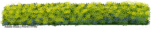 bush vector decoration