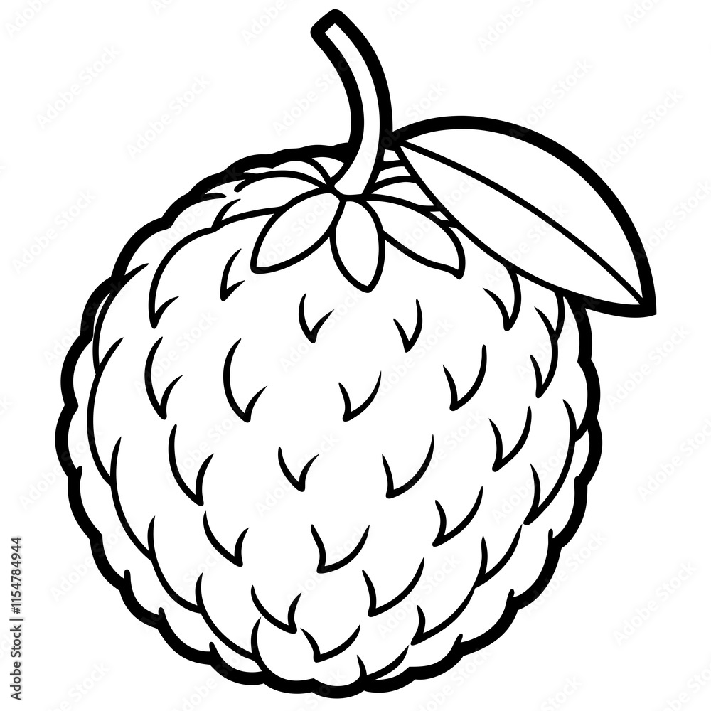 Lychee line art vector Lychee line art vector