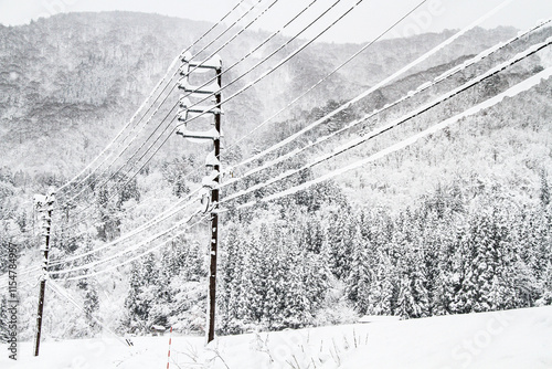 Snow Covered Power Lines in a Winter Forest